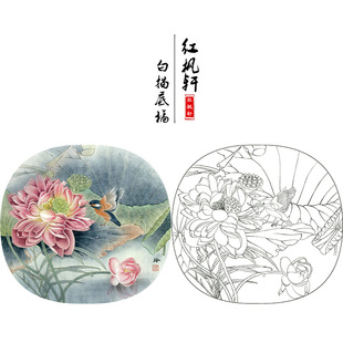 【有步骤】临郑玲玲工笔画白描底稿《碧荷生幽泉》花鸟练习作业稿