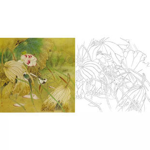 打印工笔画白描底稿荷花《相知》花鸟国画临摹曹小民练习线描画稿