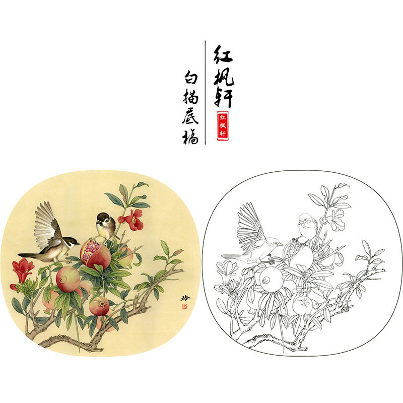 【有步骤】郑玲玲花鸟《硕果满枝头》工笔白描底稿石榴高清打印稿