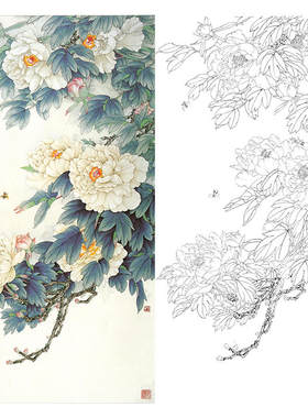 王少卿花鸟画工笔画白描底稿牡丹
