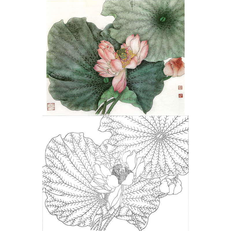 【有步骤】工笔画白描底稿线描临摹稿金建成荷花小品《斜阳浮香》