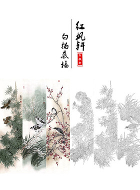 国画花鸟白描底稿四条牡丹