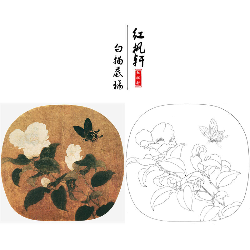 临宋佚名小品工笔画白描底稿《山茶蝴蝶图》国画花鸟初学者练习稿