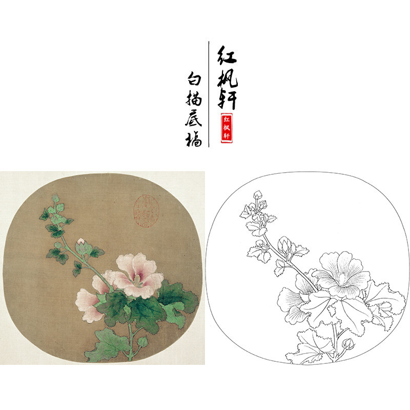 临摹国画工笔画白描底稿宋佚名《芙蓉图》花鸟小品初学练习作业稿