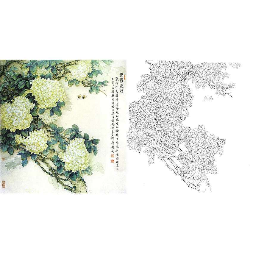 临摹王少卿工笔画白描底稿《玉洁天姿》绣球花鸟国画线描打印画稿
