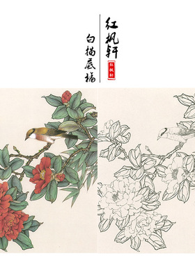 有步骤王少卿工笔画白描底稿牡丹