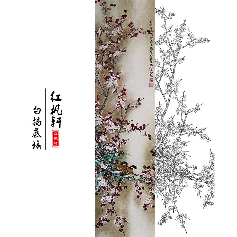 工笔画白描底稿四条屏之梅花临摹陈拥军花鸟画国画线描练习作业稿
