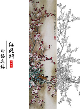 国画花鸟白描底稿四条牡丹