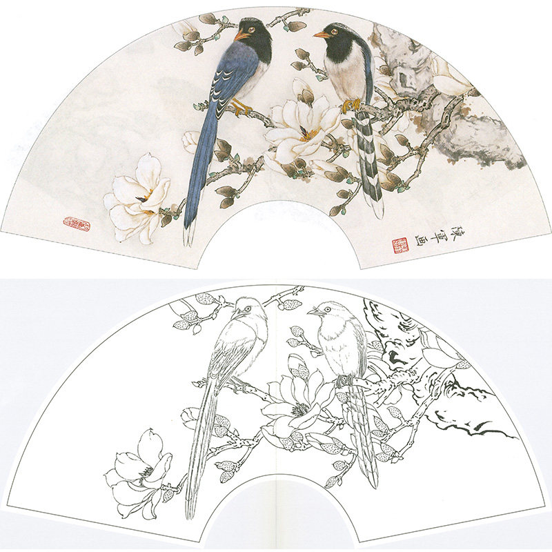 陈军《玉树月明》工笔画白描底稿红嘴蓝鹊玉兰花鸟扇面小品学习稿