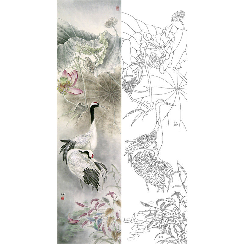 【有步骤】工笔画白描底稿临郑玲玲条屏荷花水禽丹顶鹤国画线描稿