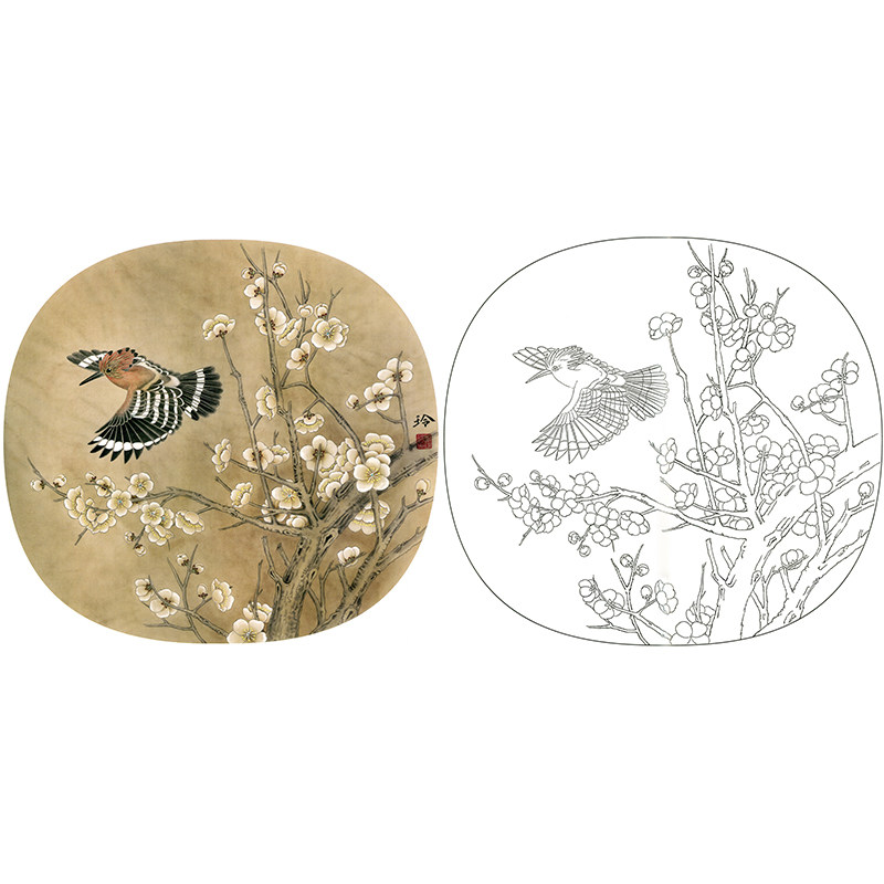 【有步骤】工笔白描底稿郑玲玲梅花《戴胜迎春图》初学勾线打印稿