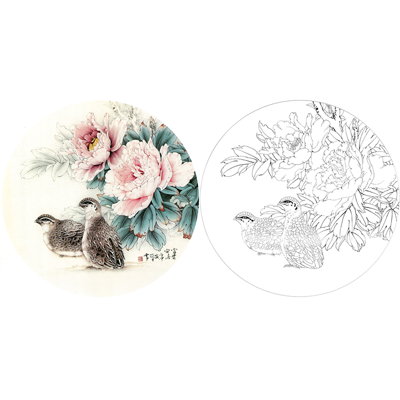 【有步骤】临李俊才工笔画牡丹鹌鹑团扇小品《富贵安居》白描底稿