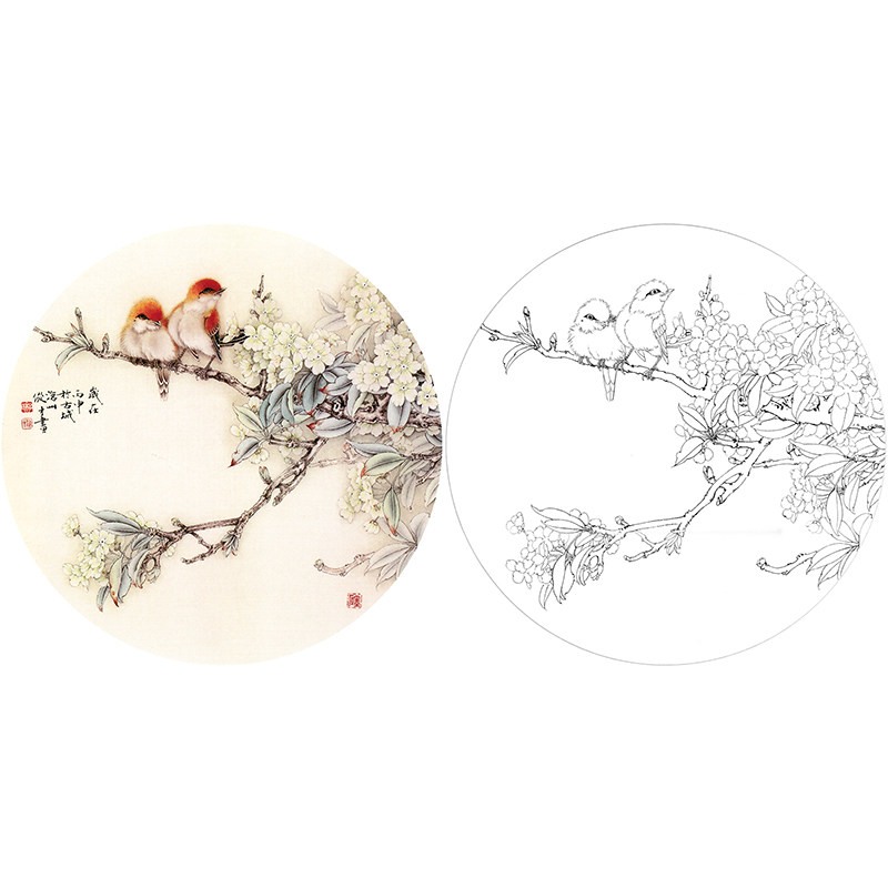 【有步骤】临李俊才团扇小品梨花《玉树双栖》工笔画临摹勾线过稿