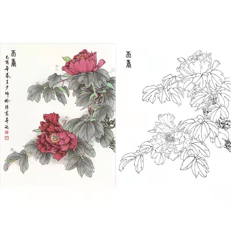 【有步骤】王少卿工笔画白描底稿国画花鸟小品牡丹《天香》打印稿