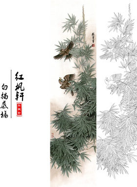 国画花鸟白描底稿四条牡丹