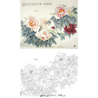 临摹王少卿工笔画白描底稿花鸟牡丹《富贵花开又一春》打印线描稿