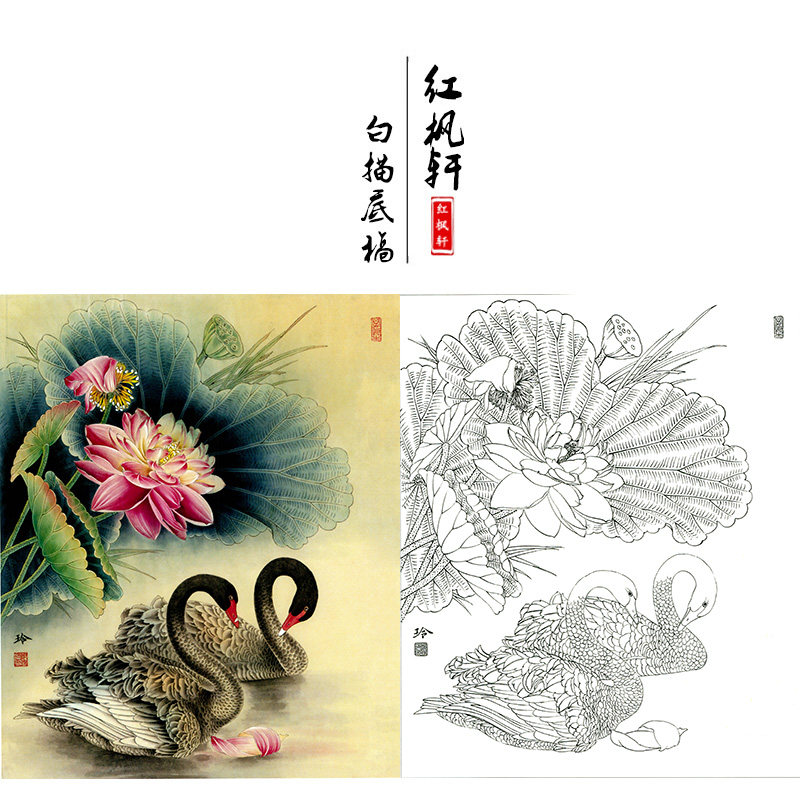 【有步骤】郑玲玲工笔画白描底稿荷花天鹅《朝朝暮暮永相随》画稿