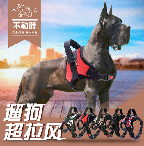 T 亚马逊宠物胸背 爆款现货厂家宠物用品中大型犬狗狗透气牵引绳