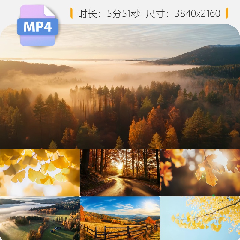 高清金色深秋银杏落叶唯美逆光航拍秋高气爽自然生态空镜视频素材