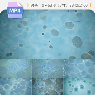 高清显微镜下细胞分裂扩散增殖转移侵袭肿瘤生长动态视频素材