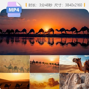 高清丝绸之路西域贸易古代文明张骞探险骆驼商队视频素材