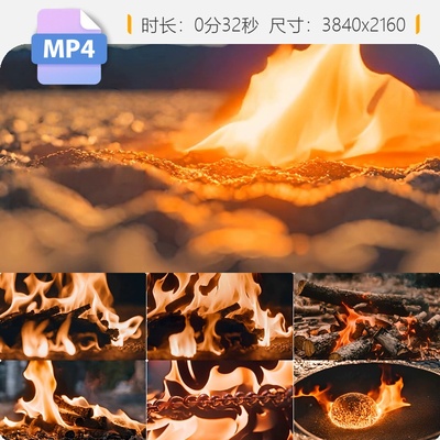 高清熊烈火把燃烧焰大木材浓烟滚苗宣传片森林团链子铁视频素材