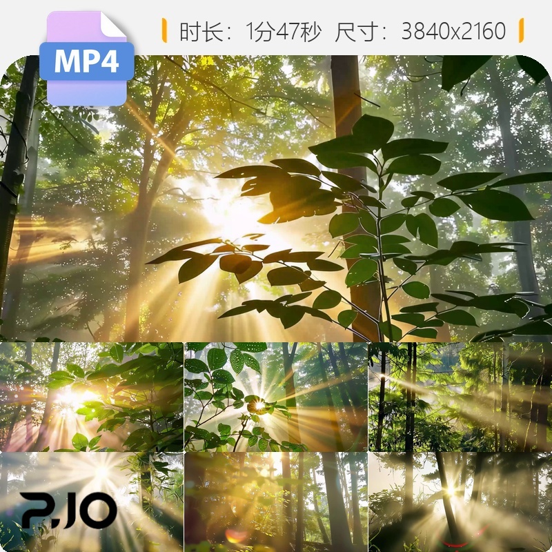 高清森林大自然阳光金色射线原创树林风景风光ai素材视频素材