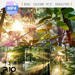 高清森林大自然阳光金色射线树林风景风光ai素材达尔效应视频素材