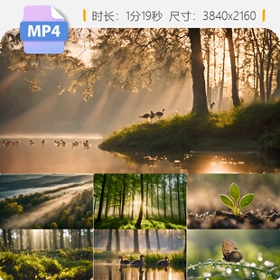 高清立春节气万物复苏春暖花开鸟语花香生机盎然绿色自然视频素材