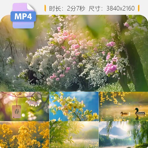 高清春天花鸟鸳鸯柳树油菜花蜂上春山万物苏醒风景生命力视频素材