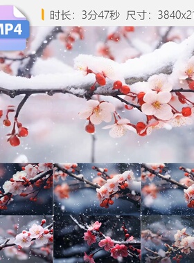 高清梅花赋梦苇寒冬雪景LED大屏唯美红梅绽放古典淡雅意视频素材