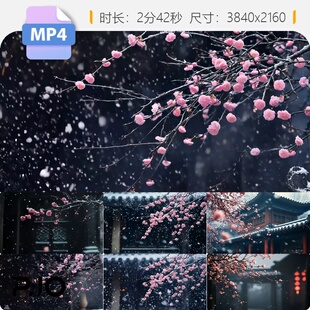 高清雪中寒梅傲雪绽放唯美古风诗意水墨画红飘冬季空镜头视频素材