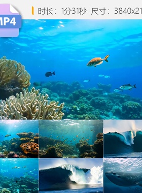 高清海底海洋世界鱼群鲸母珊瑚唯美梦幻蓝色水下生物视频素材