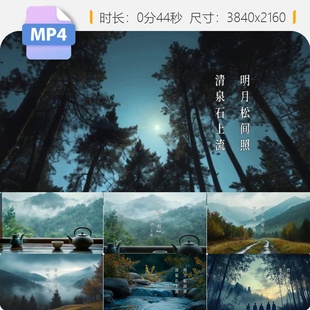 高清唐王维山居秋暝空山新雨明月清泉竹喧莲动春芳留白诗视频素材