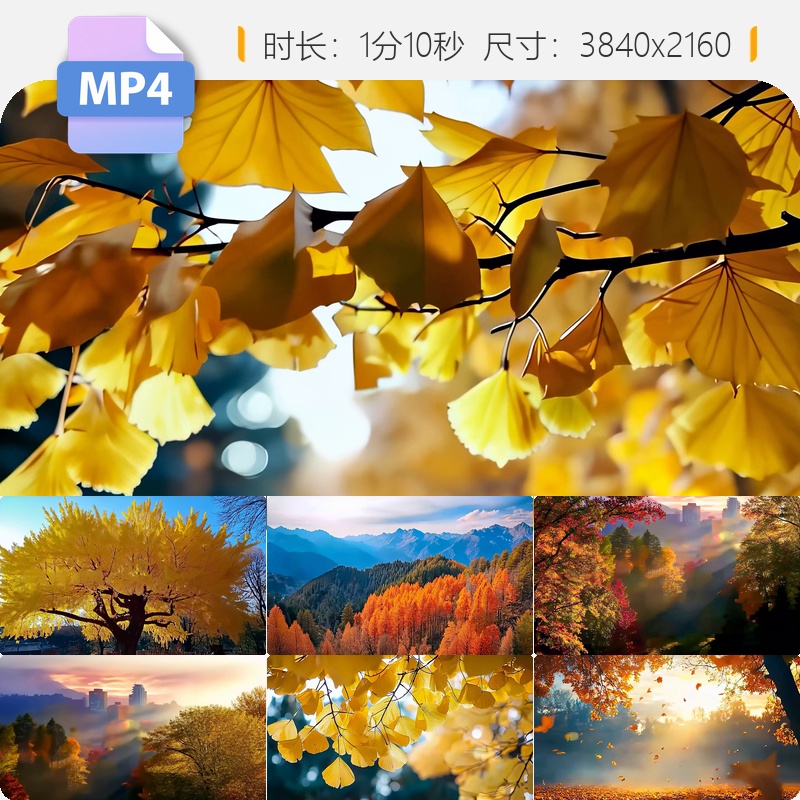 高清金秋枫叶银杏唯美空镜深秋阳光透过红树林大自然风景视频素材