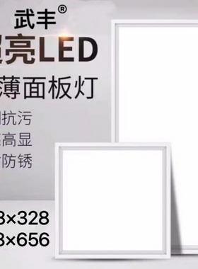 32.8*32.8x65.6金今顶巨奥集成吊顶适用尺寸厨卫LED照明灯328x328