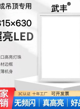 315x630集成吊顶嵌入式LED平板灯