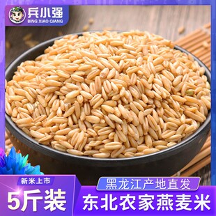 新货燕麦米农家自种今年燕麦米燕麦仁全胚芽五谷杂粮营养健康早餐