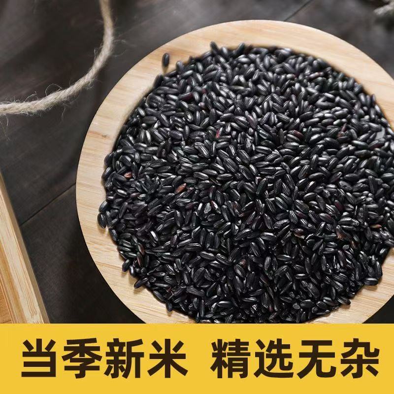 黑香米黑米饭早餐黑米粥五谷杂粮