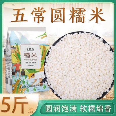 黑龙江江米粘大米包粽子糯米