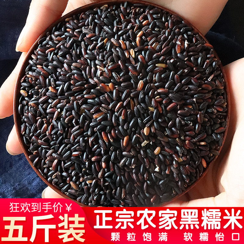 东北黑糯米正宗血糯米新米包粽子专用农家五谷杂粮黏米粗粮批发