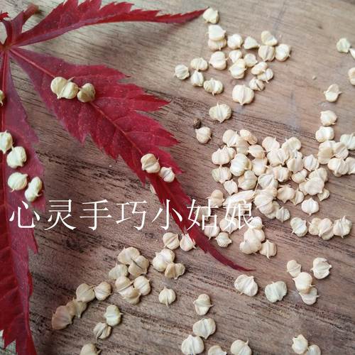 稗草籽 败草籽 做枕头 疏松浙江民俗特色枕芯 老底子败草子颈椎枕