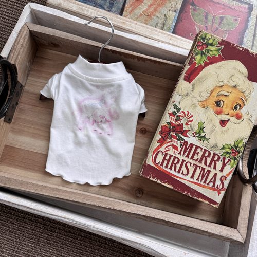 UNLEASHED公主纱马尔济斯连衣裙宠物内搭夏季薄款可爱狗狗衣服