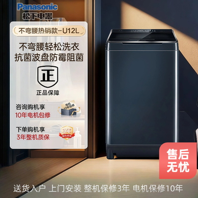 松下10KG波轮抗菌智洗洗衣机