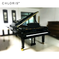 Cloris clorris tùy chỉnh thanh tam giác piano nhập khẩu cao với chơi piano - dương cầm casio cdp 120