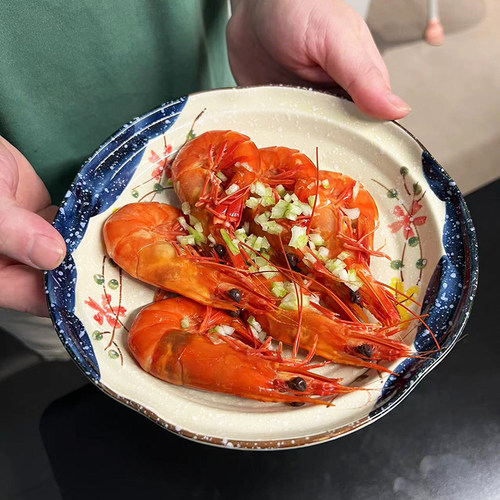 菜盘陶瓷家用创意复古手绘