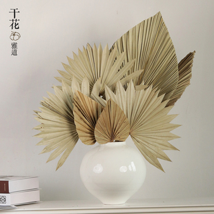 蒲扇叶插花搭配花艺软装家居装饰摆件观音扇大棕榈叶婚庆拱门干花