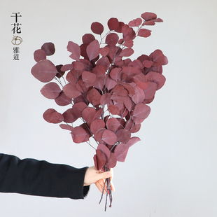 苹果叶尤加利叶永生花干花花束真花树叶红色秋冬橙色装饰摆件插花