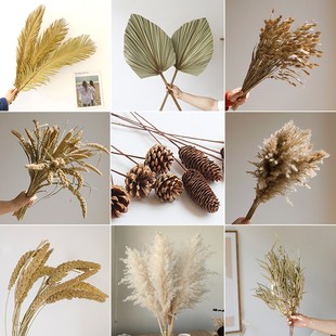 侘寂风干花自然真花芦苇松果棉花天然麦子蒲扇装饰家居花束摆件