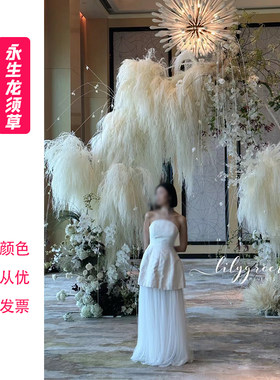 龙须草永生花梦幻羽毛草